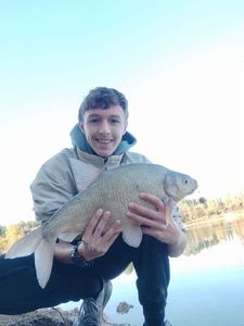 Common Bream