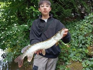 Northern Pike