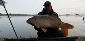 Mirror Carp