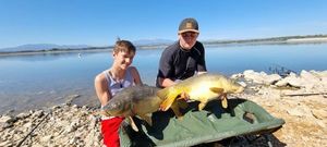 Mirror Carp