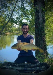 Common Carp