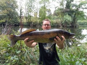 Zander