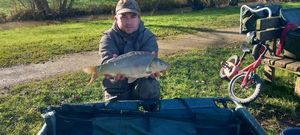 Mirror Carp