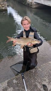 Barbel