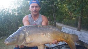 Leather Carp