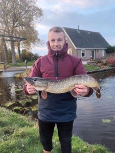 Northern Pike