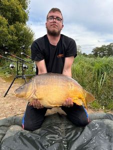 Mirror Carp