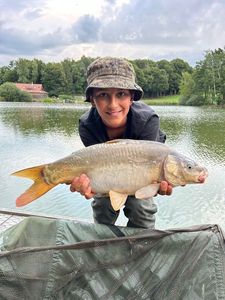 Mirror Carp