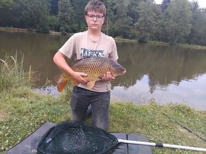 Common Carp