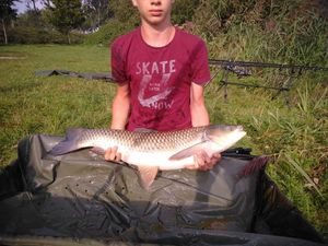 Grass Carp