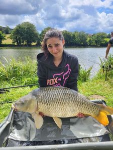 Common Carp