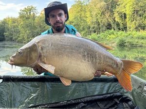 Mirror Carp