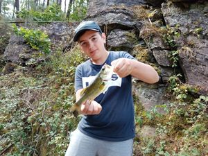 Largemouth Bass