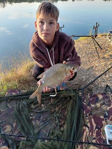 Common Bream