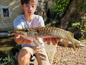 Northern Pike