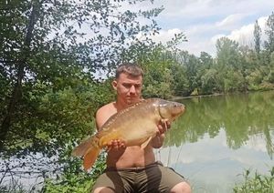 Mirror Carp
