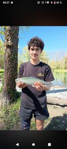 Rainbow Trout