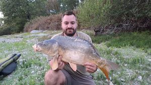 Mirror Carp