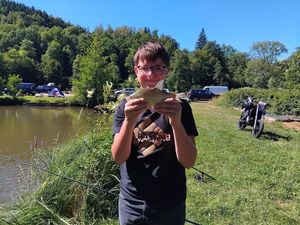 Crucian Carp