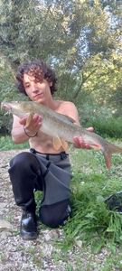 Barbel