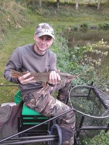 Northern Pike