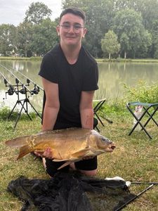 Mirror Carp
