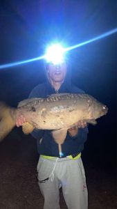 Mirror Carp