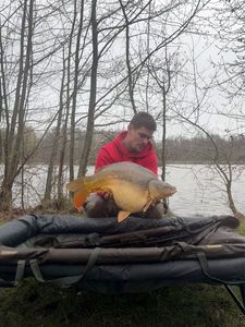 Mirror Carp