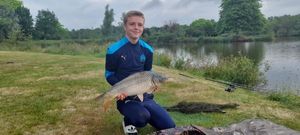 Common Carp
