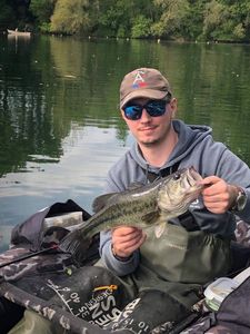 Largemouth Bass