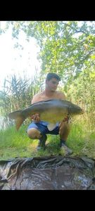 Mirror Carp
