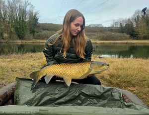 Grass Carp