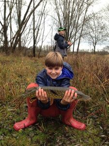 Northern Pike