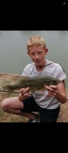 Largemouth Bass