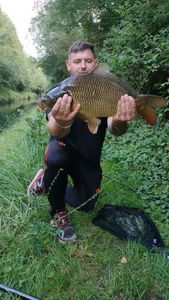 Common Carp