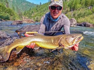 Bull trout 