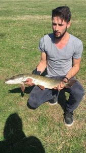 Northern Pike
