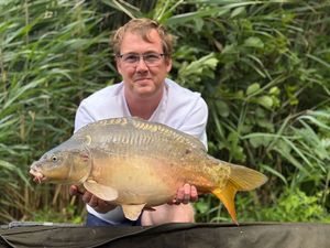 Mirror Carp