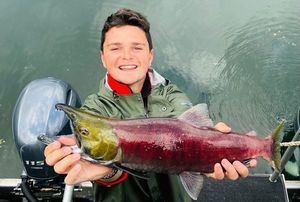 Kokanee