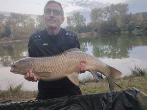 Grass Carp