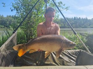 Mirror Carp