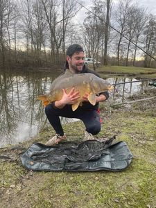 Leather Carp