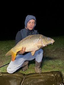 Mirror Carp