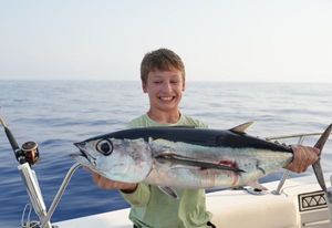Albacore