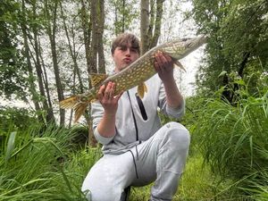 Northern Pike
