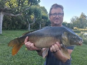 Mirror Carp