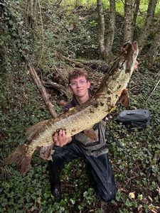 Northern Pike