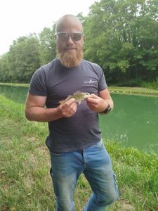 European Perch