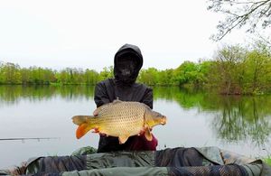 Common Carp