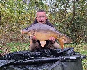 Mirror Carp